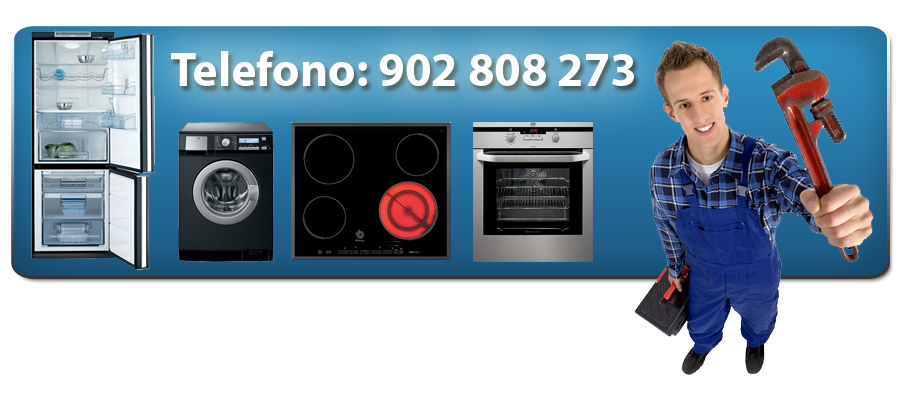 Servicio Tecnico Calderas Renova en Morazarzal. Reparacion Calderas Renova Morazarzal